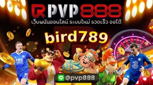 bird789