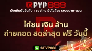 ไก่ชน เงิน ล้าน ถ่ายทอด สดล่าสุด ฟรี วันนี้